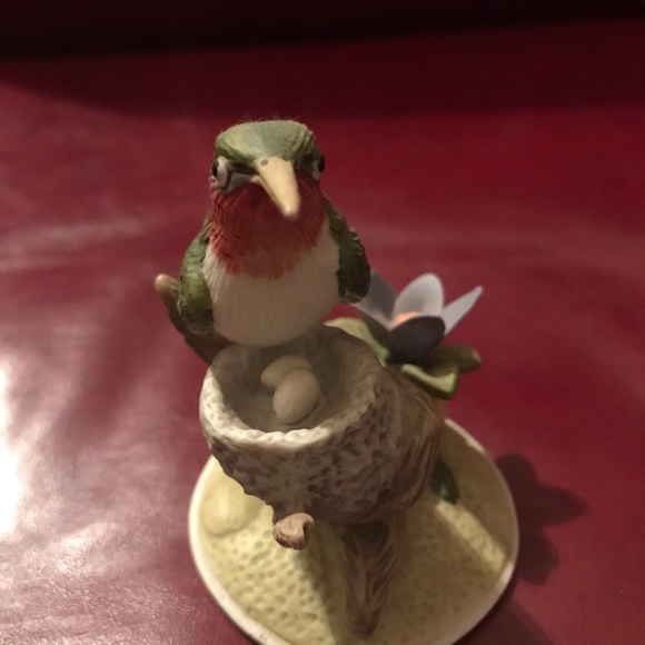 On Natures’s Wing Hummingbird on tree branch - Picture 2 of 4